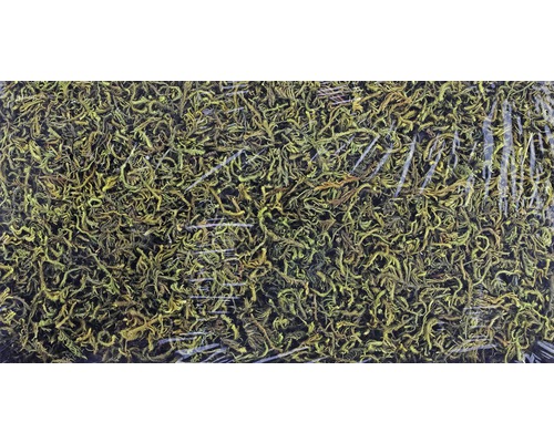 Mănunchi de mușchi islandezi în ambalaj