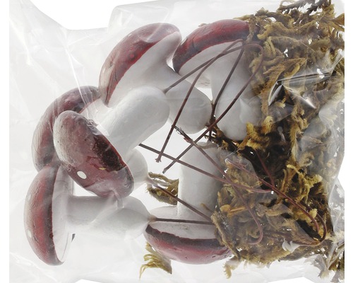 Decor: ciuperci și mușchi într-un pachet.