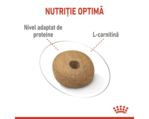 O singură bucată de hrană pentru câini cu o compoziție optimă de nutrienți, îmbogățită cu proteine și L-carnitină.