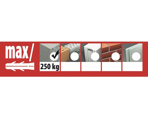 Imagine simbol pentru aplicațiile de dibluri în diverse materiale de construcție cu o sarcină maximă de 250 de kilograme