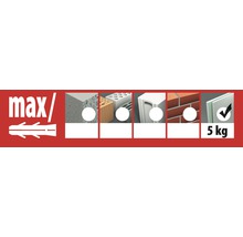 Ancore metalice cu cârlig rotund Tox Pirat Eddi Ø12x90 mm, filet metric M3, 20 bucăți, pentru perete fals