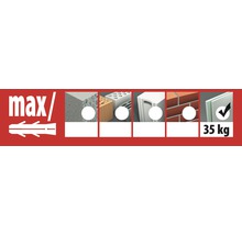 Ancore metalice cu cârlig Tox Pirat Skippi Ø12x65 mm, filet metric M6, 25 bucăți, pentru perete fals