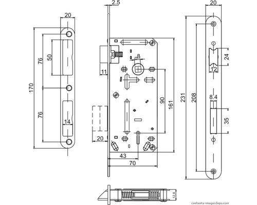 Desen tehnic al unei broaște îngropate cu dimensiuni