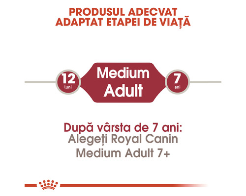 Royal Canin Medium Adult interval de vârstă: 12 luni până la 7 ani
