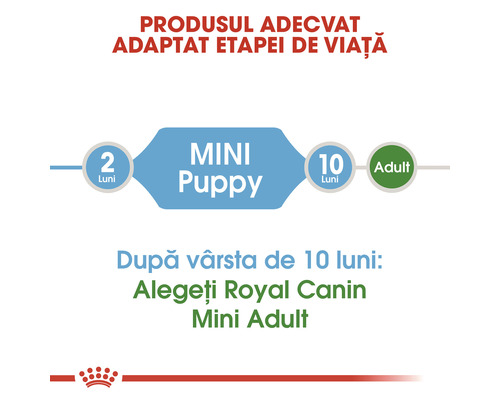 Hrană Royal Canin Mini Puppy pentru căței până la vârsta de zece luni
