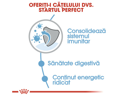 Beneficiile hranei pentru câini: sprijină sistemul imunitar, îmbunătățește sănătatea digestivă și are un conținut energetic ridicat