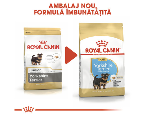 Comparație între hrana uscată pentru căței și câini tineri Royal Canin Yorkshire Terrier