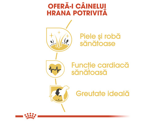 Benefits of feeding your dog the right food: healthy skin and coat, healthy heart function, ideal weight.