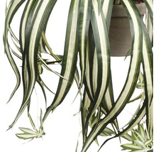 Plantă artificială, Chlorophytum, verde-thumb-2