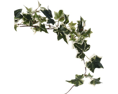 Ghirlandă de iederă cu frunze verzi și deschise