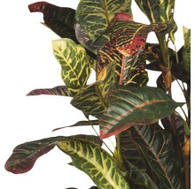 Plantă artificială, Croton, gri-thumb-1