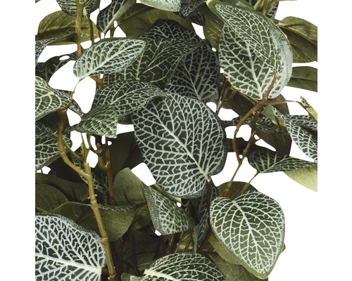 Prim-plan al unei plante artificiale cu frunze cu model