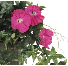 Floare artificială, petunie curgătoare, roz-thumb-1