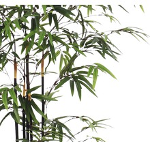 Plantă artificială, bambus, înălțime 120 cm, verde-thumb-1