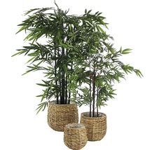 Plantă artificială, bambus, înălțime 120 cm, verde-thumb-5