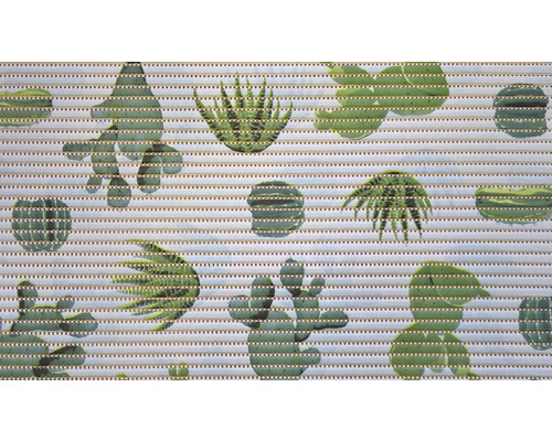 Prim-plan al unei role cu model de cactus