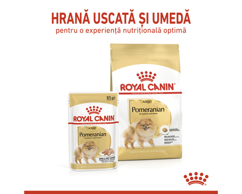Royal Canin Pomeranian Adult hrană uscată și umedă pentru câini