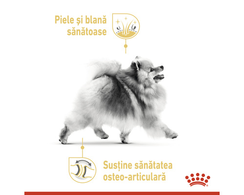 Ilustrație pentru susținerea pielii, blănii și articulațiilor la câini.