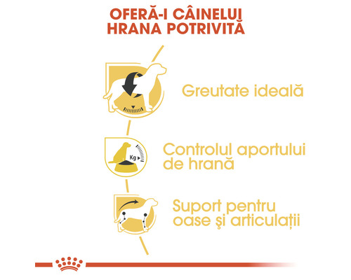 Ilustrație a controlului ideal al greutății, a aportului de hrană și a susținerii oaselor și articulațiilor la câini.