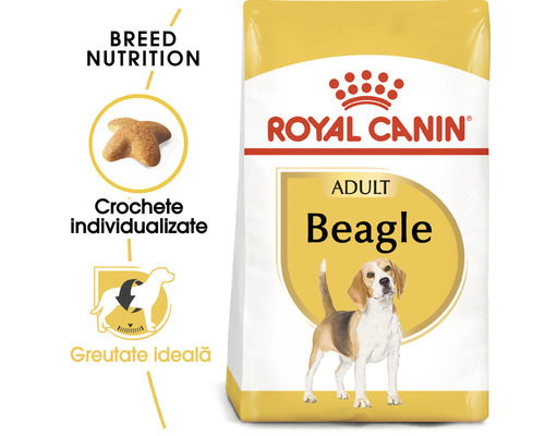 Ambalaj hrana pentru câini Royal Canin Adult Beagle