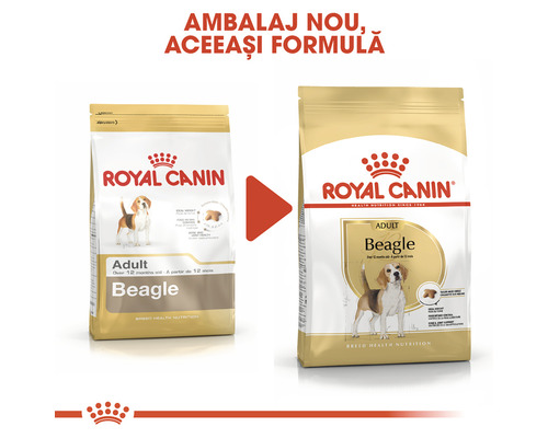 Royal Canin Beagle Adult hrană uscată pentru câini, ambalaj nou