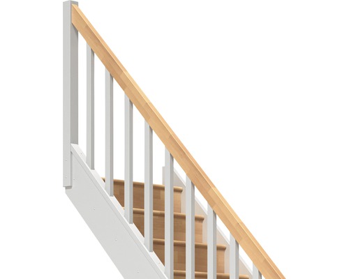 Scară cu balustradă și trepte