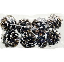 Pachet de conuri de pin pentru decorare