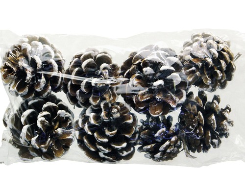 Pachet de conuri de pin pentru decorare