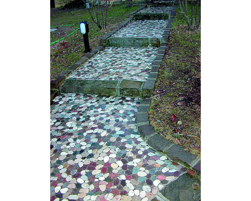 Scară cu model de piatră în grădină