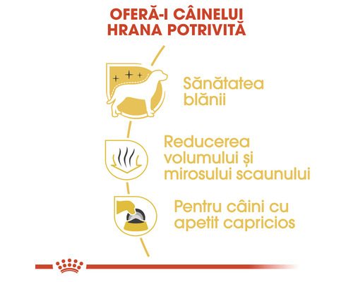 Avantajele hranei pentru câini: sănătatea blănii, reducerea volumului și mirosului scaunului, pentru câinii cu apetit capricios