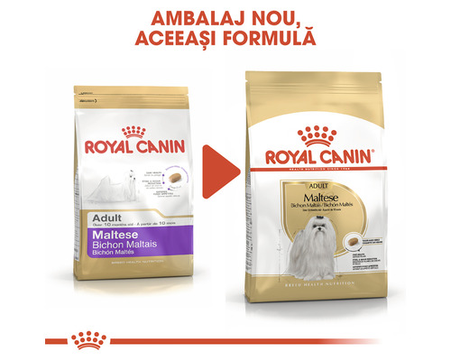 Royal Canin Adult Maltese hrană pentru câini, ambalaj nou