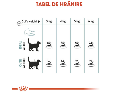 Tabel de hrănire pentru hrana pisicilor în funcție de greutate