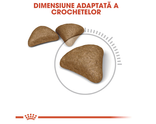 Crochetă de mâncare pentru câini de dimensiune adaptată