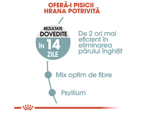 Informații despre beneficiile hranei pentru pisici