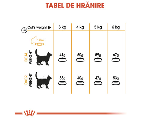Tabel de hrănire pentru pisici