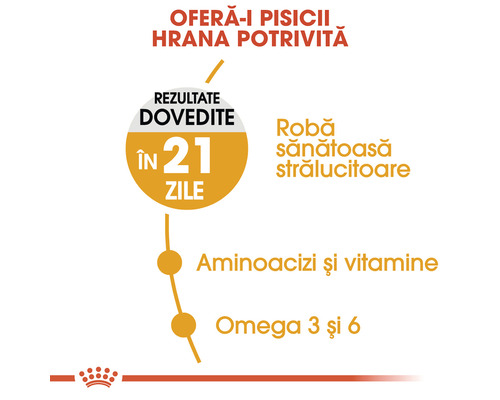 Rezultate dovedite ale hranei pentru animale în 21 de zile pentru o blană strălucitoare și sănătoasă, plus aminoacizi și vitamine, omega 3 și 6