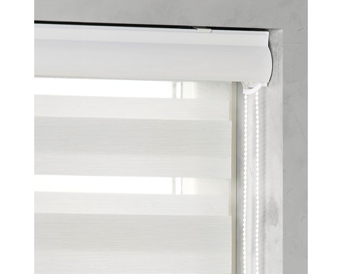 Fereastră cu jaluzea dublă opacă