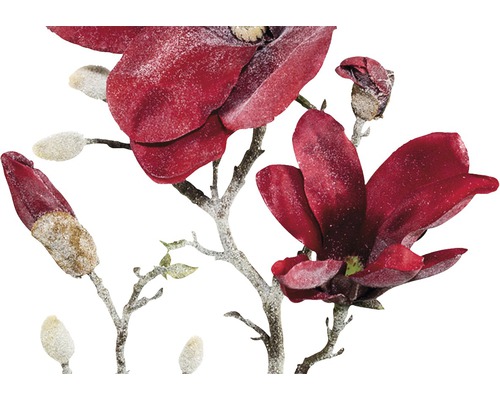 Ramură decorativă de magnolie cu flori și muguri