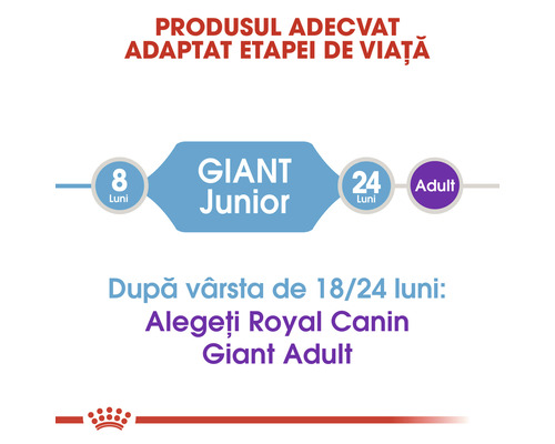 Hrană Royal Canin Giant Junior pentru câini de la 8 la 24 de luni