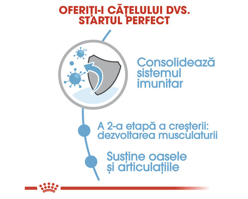 Sprijin pentru sistemul imunitar, dezvoltarea musculară, oasele și articulațiile câinelui