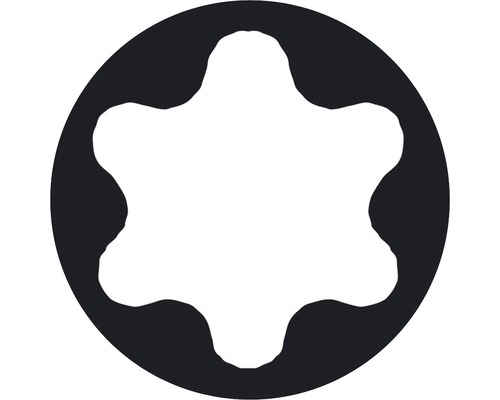 Profil Torx