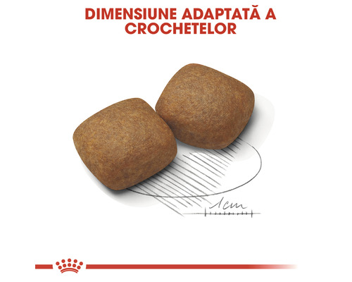 Două crochete de hrană uscată pentru câini