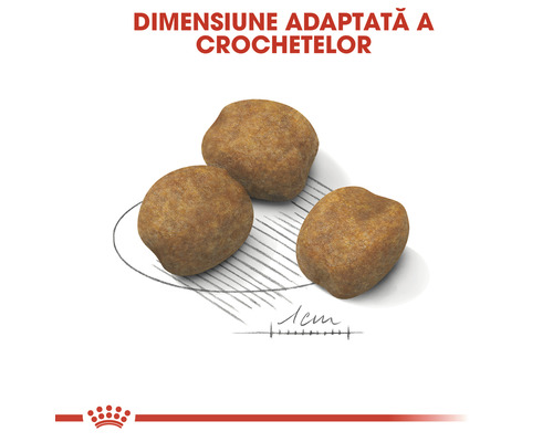 Trei crochete pentru câini, cu o indicație de dimensiune de un centimetru.