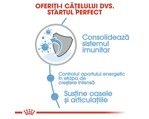 Consolidarea sistemului imunitar, controlul energiei și susținerea oaselor și articulațiilor pentru câini.