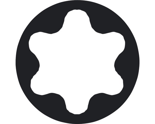 Profil șurub Torx