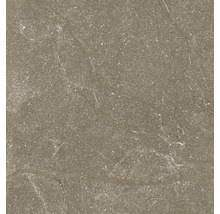 Gresie exterior / interior porțelanată Stoneline Brown rectificată 30x60 cm