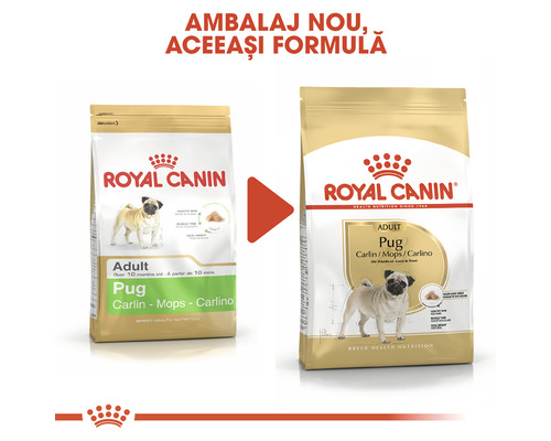 Royal Canin Adult Pug hrană pentru câini, ambalaj nou