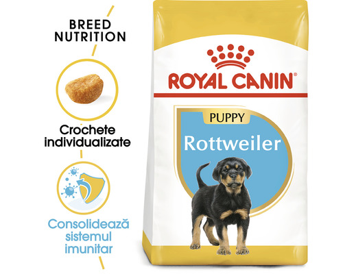 Hrană uscată pentru câini ROYAL CANIN Rotweiller Junior | HORNBACH