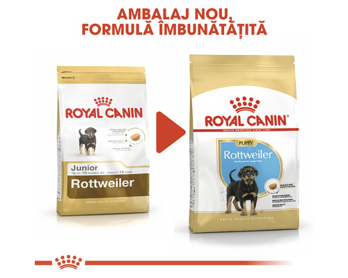 Comparație între hrana uscată Royal Canin Rottweiler pentru căței și câini tineri