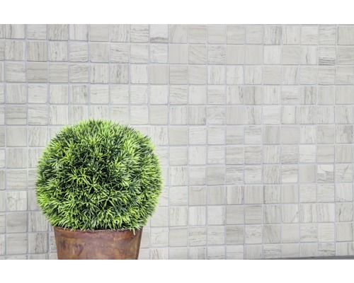 Scenă cu plăci de mozaic și o plantă în ghiveci